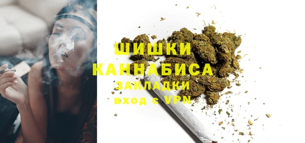 индика Бородино